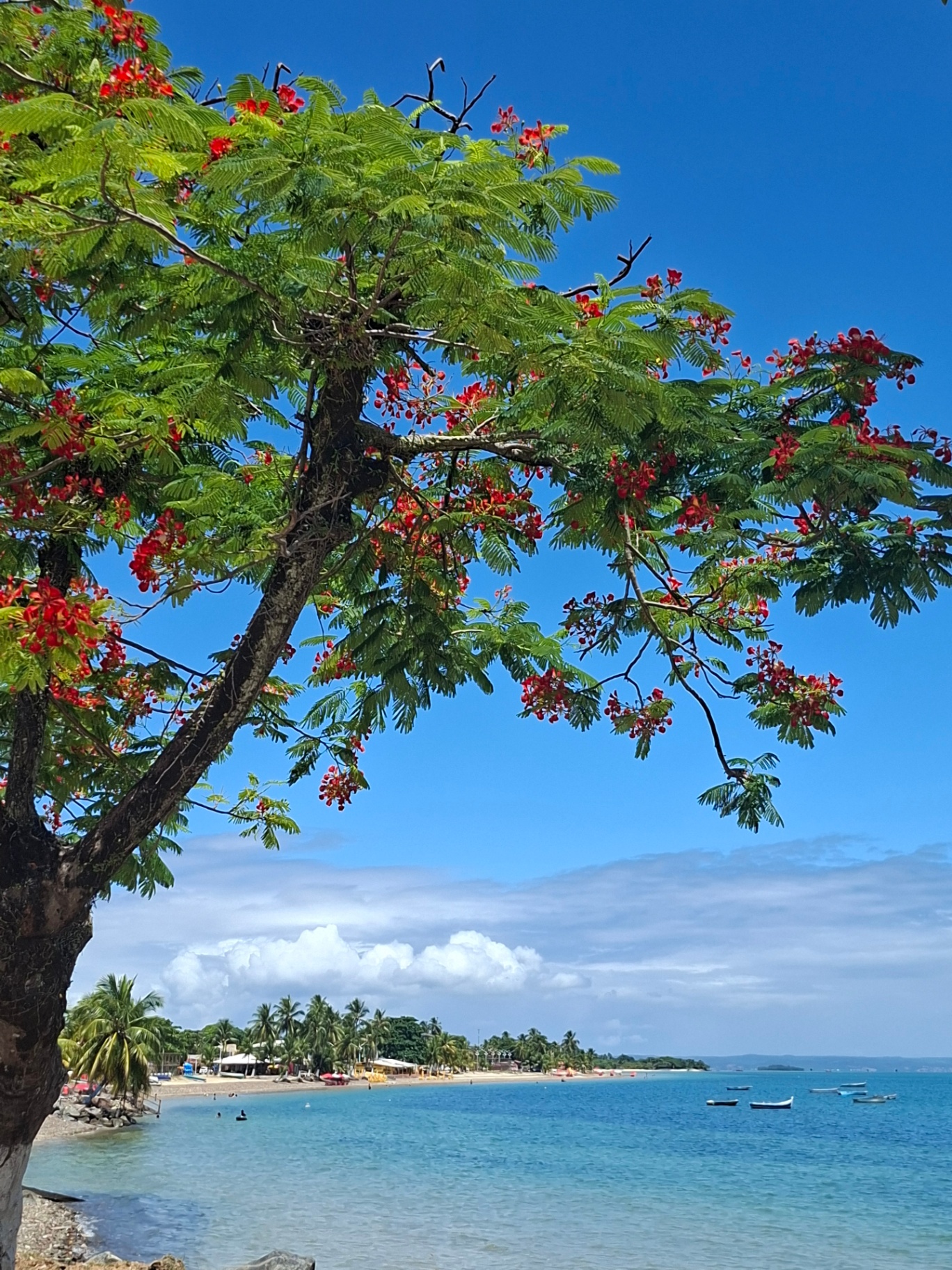 Orla da Praia de Ponta de Areia - Itaparica-BA — mar azul e areia
